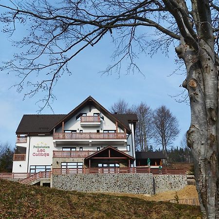 Pensiunea Lac Colibiţa Exterior foto